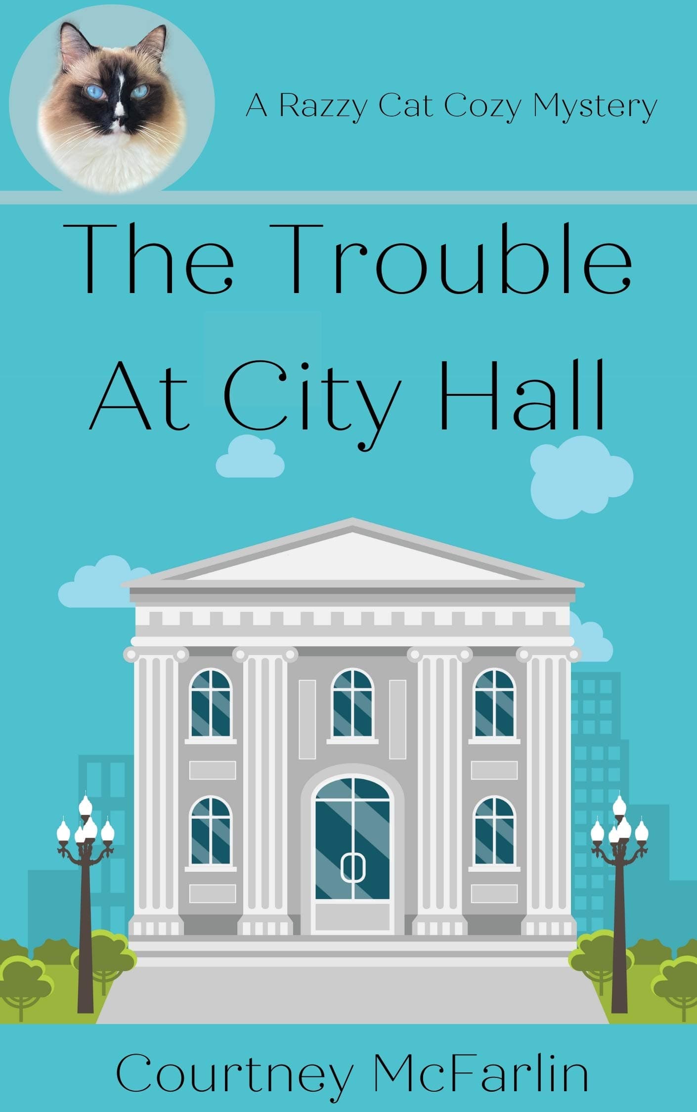 The Trouble At City Hall book cover