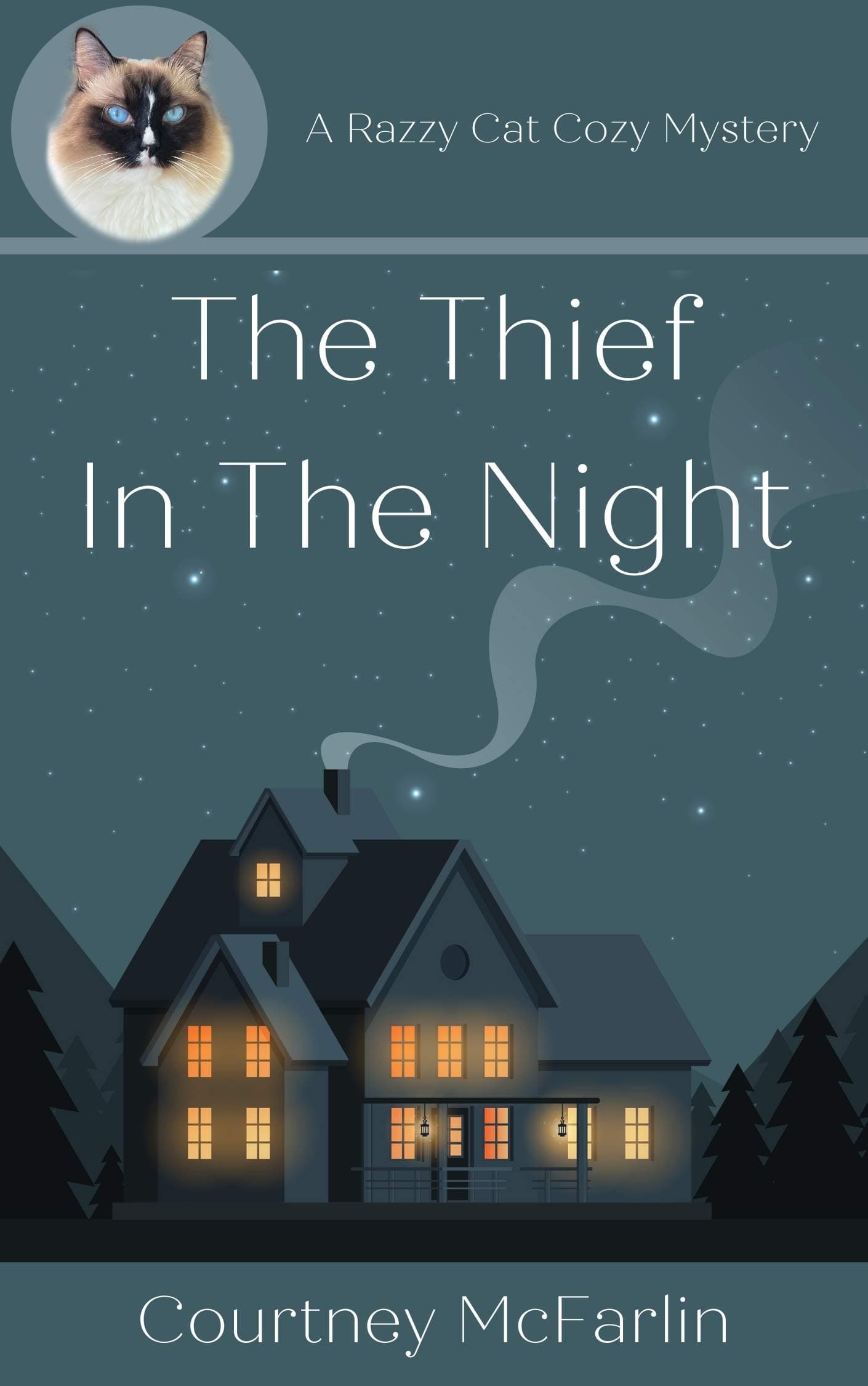 The Thief in the Night book cover