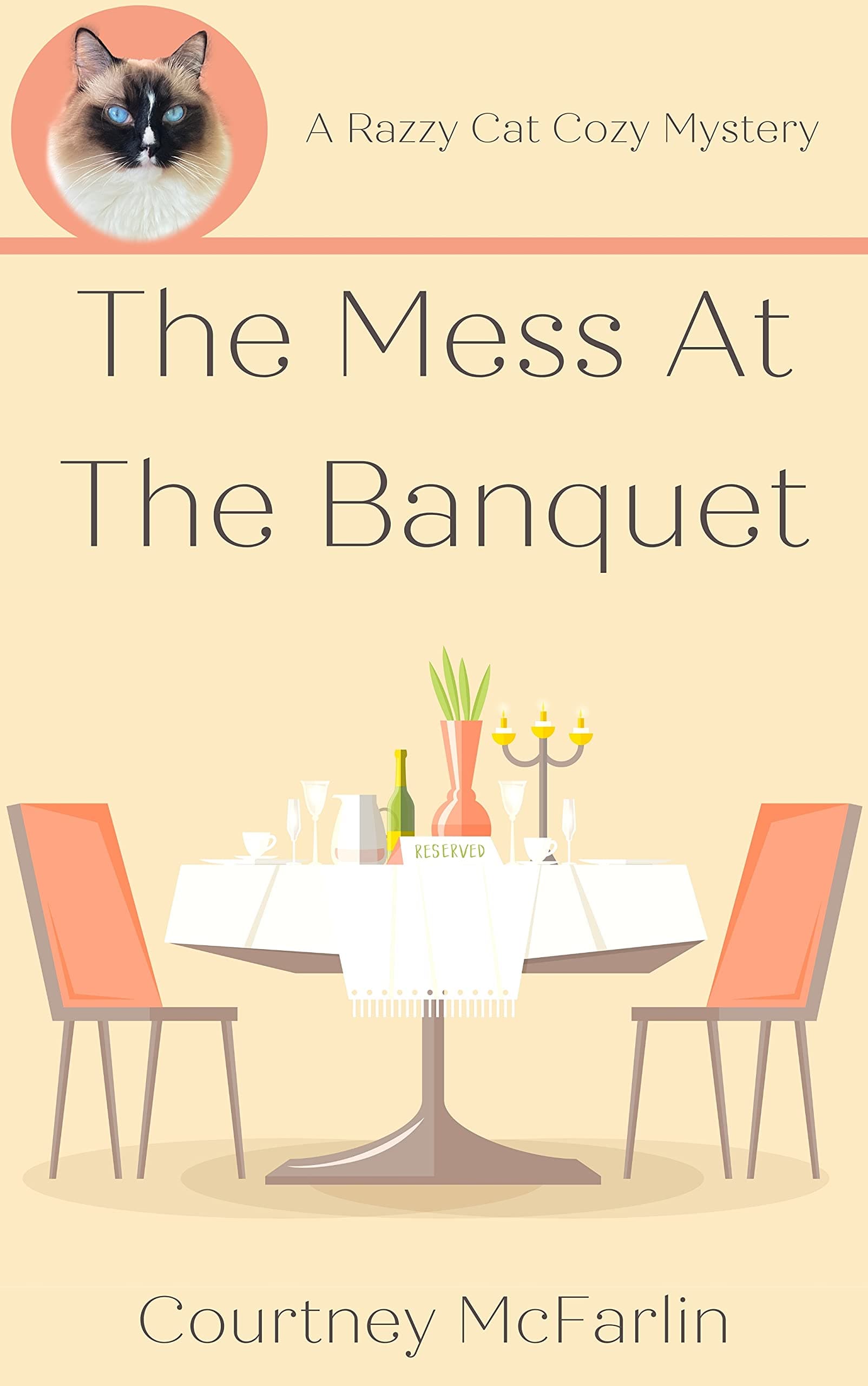 The Mess at the Banquet book cover