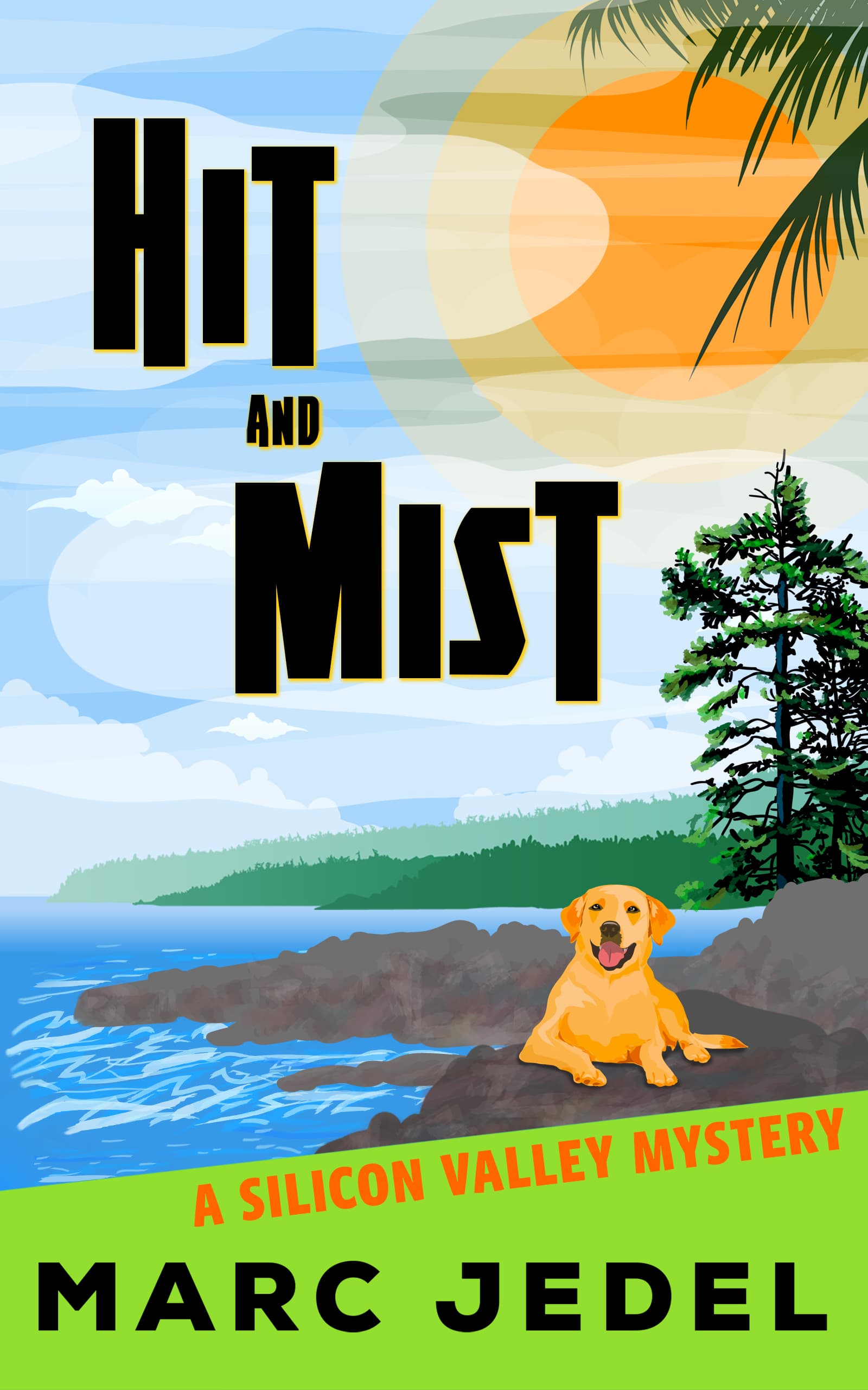 Hit and Mist book cover