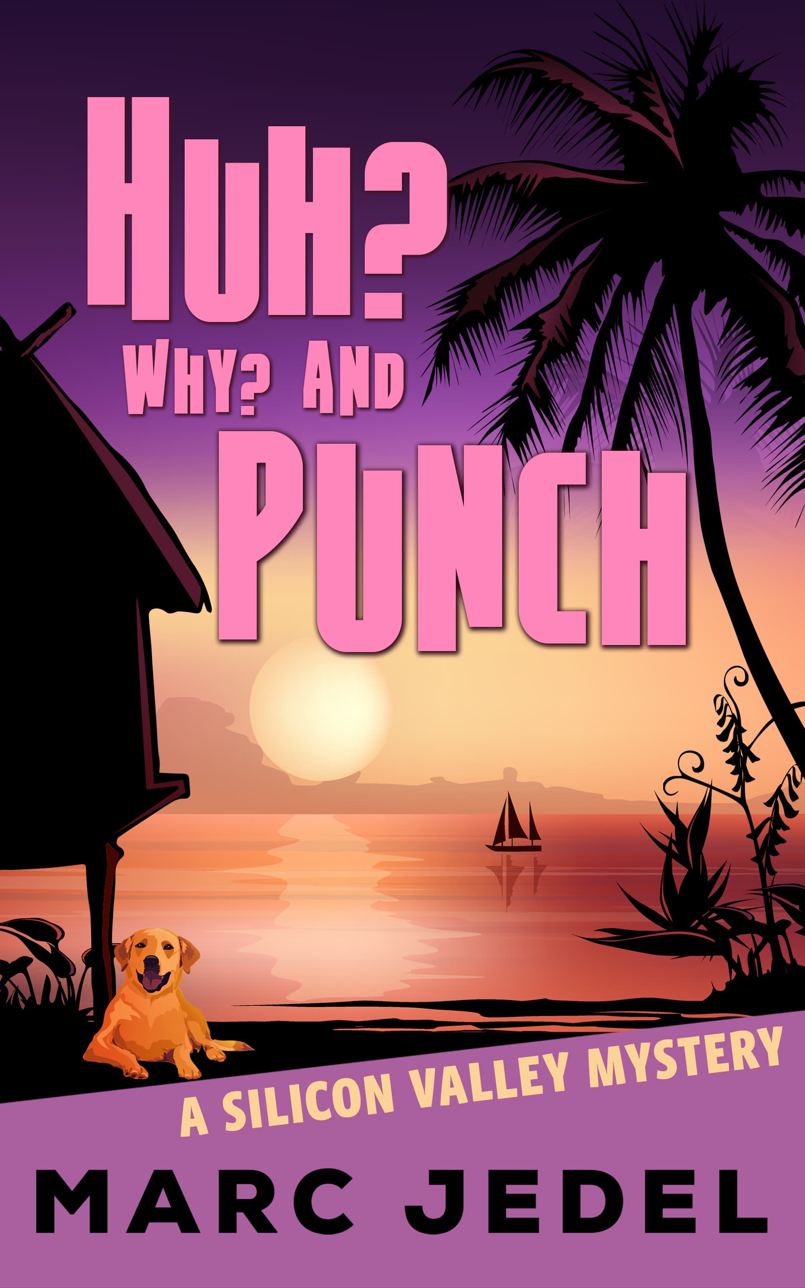 Huh? Why? and Punch book cover