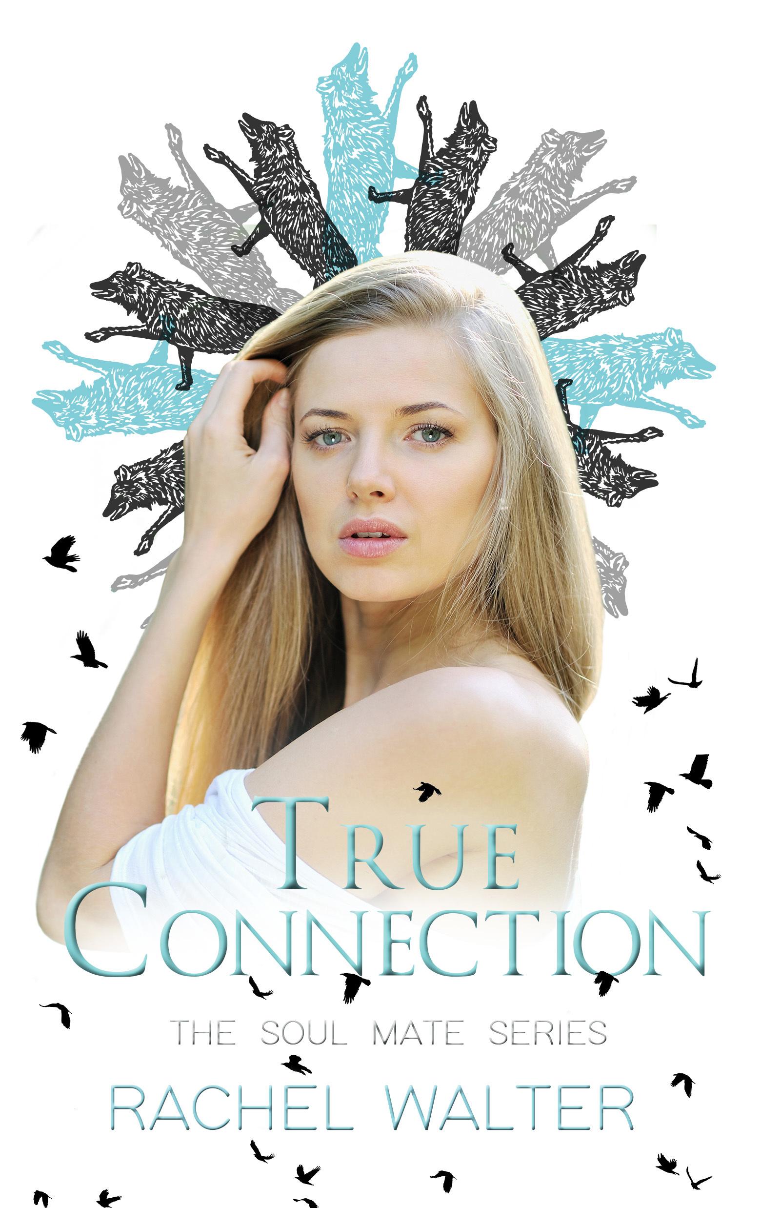 Series Book Cover Preview