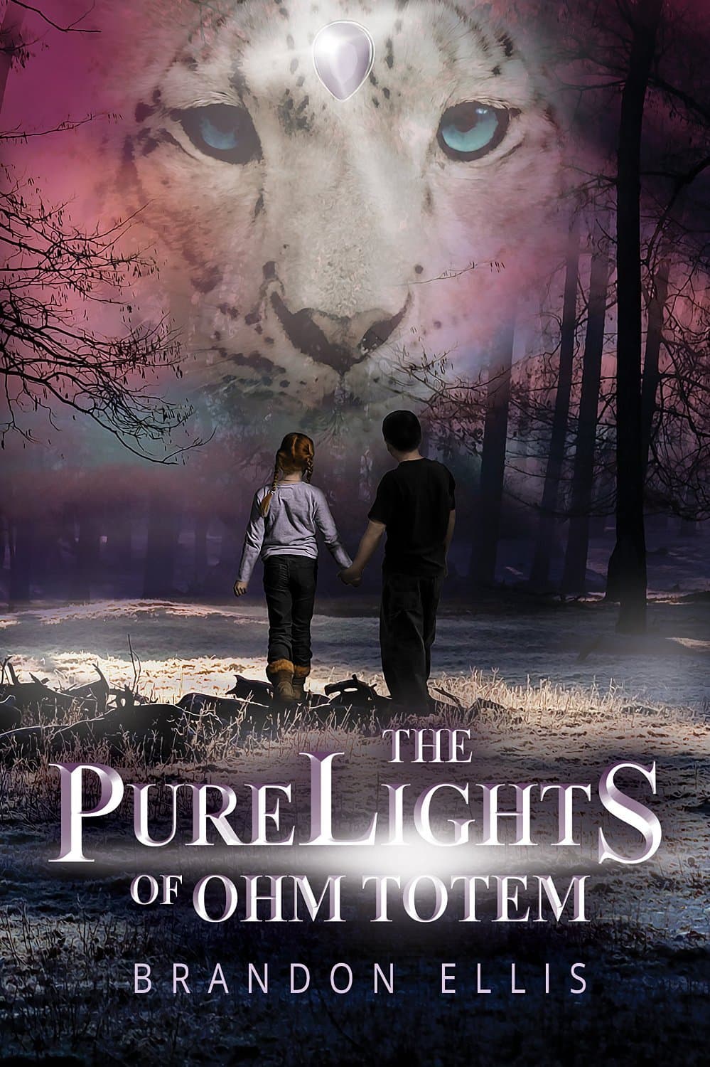 The PureLights of Ohm Totem book cover