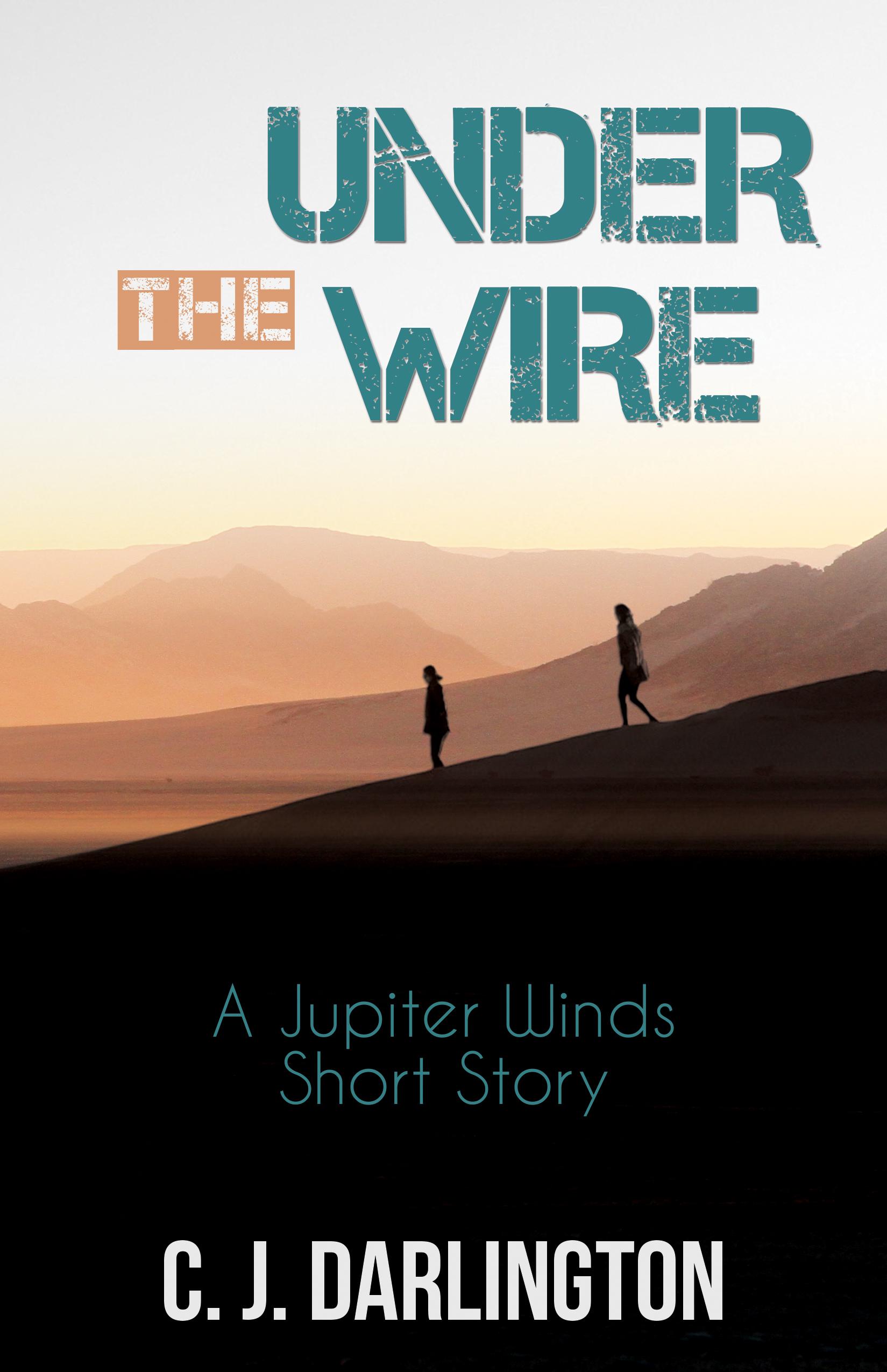Under the Wire book cover