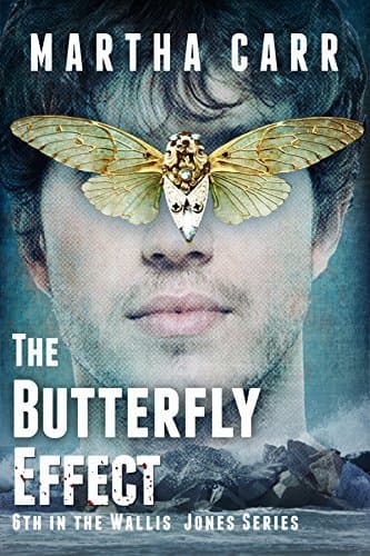 The Butterfly Effect book cover