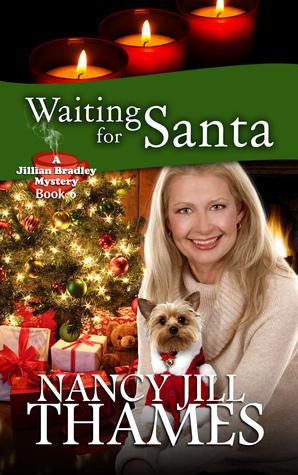 Waiting for Santa book cover