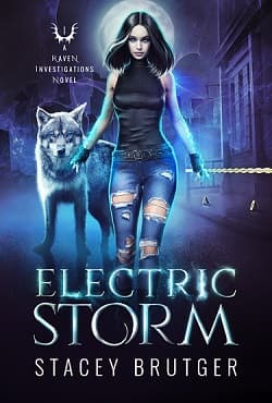 Electric Storm book cover