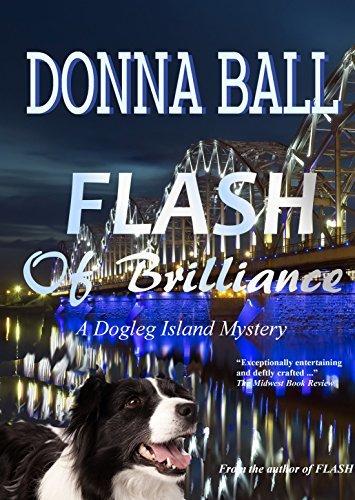 Series Book Cover Preview