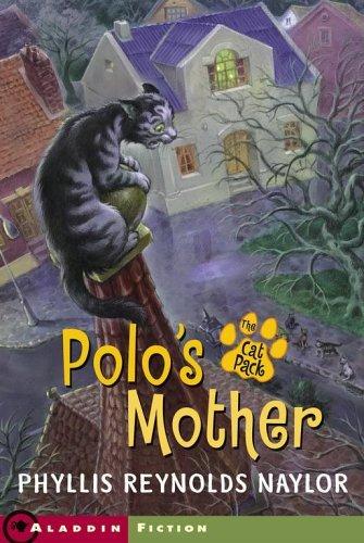 Polo's Mother book cover