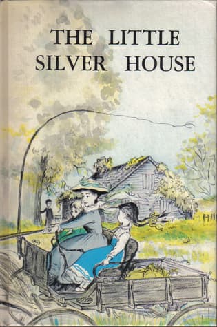 The Little Silver House book cover