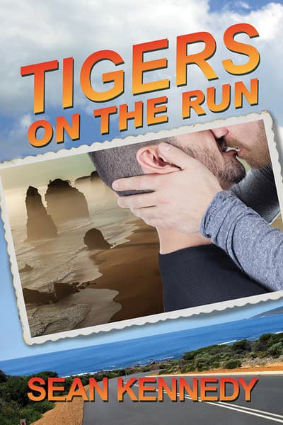 Tigers on the Run book cover