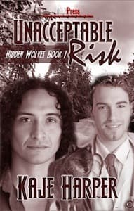 Unacceptable Risk book cover
