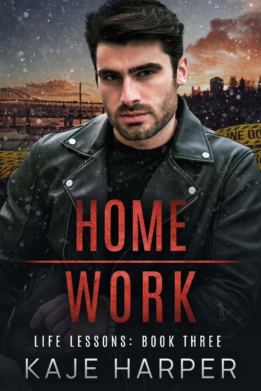 Home Work book cover