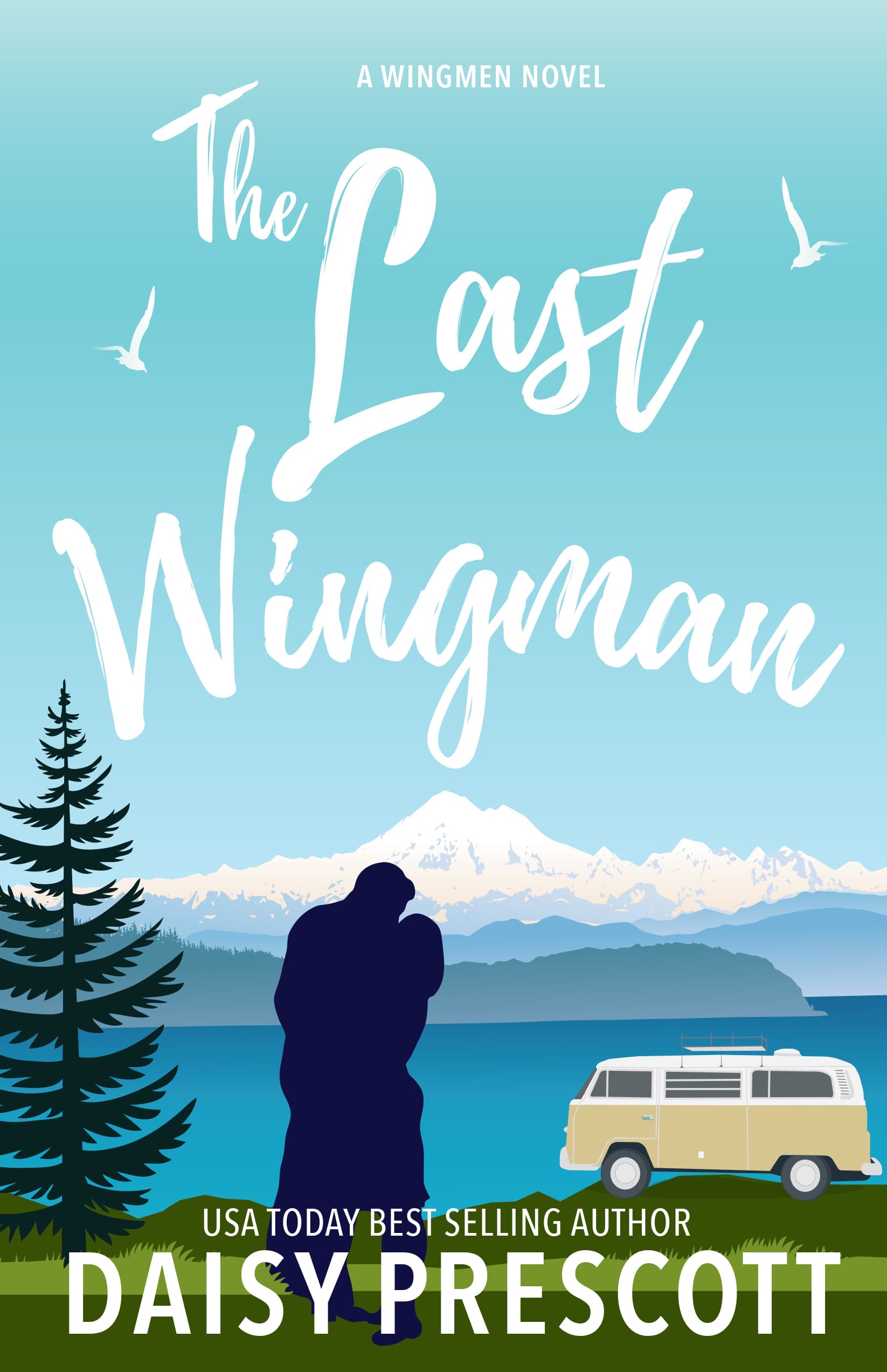 The Last Wingman book cover