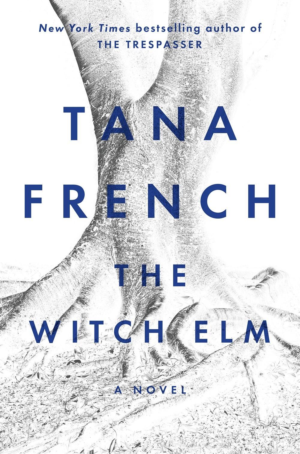 The Witch Elm book cover