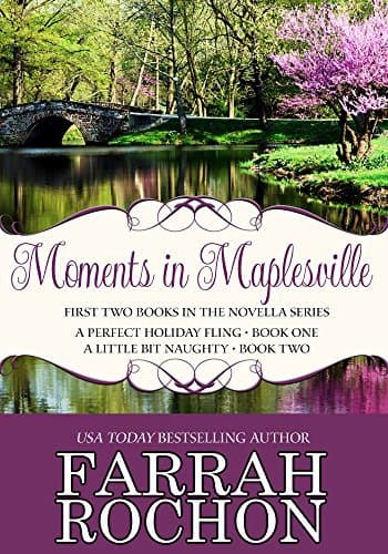 Moments In Maplesville: A Perfect Holiday Fling & A Little Bit Naughty book cover