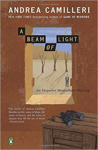 A Beam of Light book cover