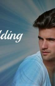 The Wedding book cover