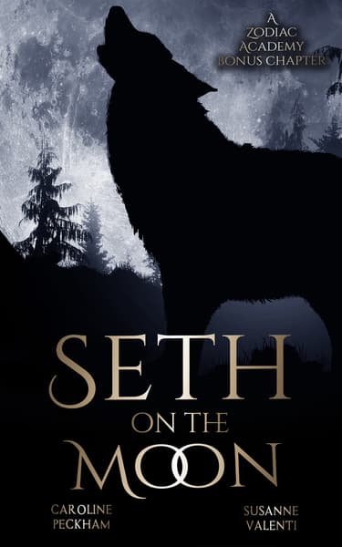 Seth on the Moon book cover