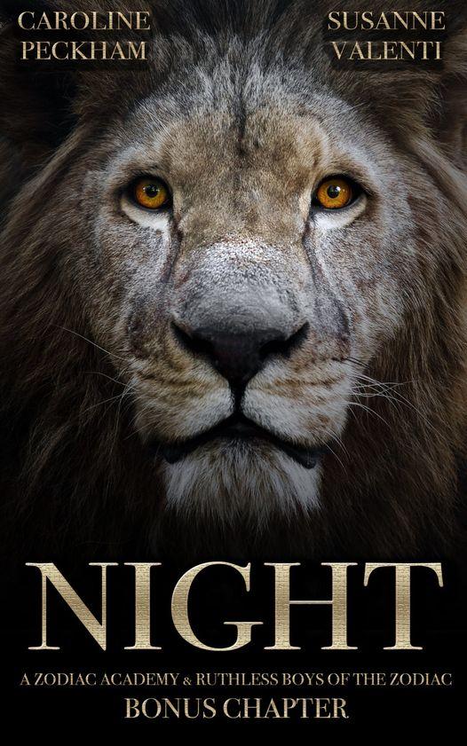 Night book cover