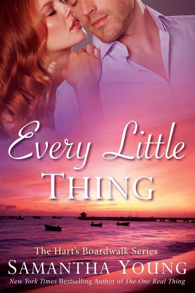 Every Little Thing book cover