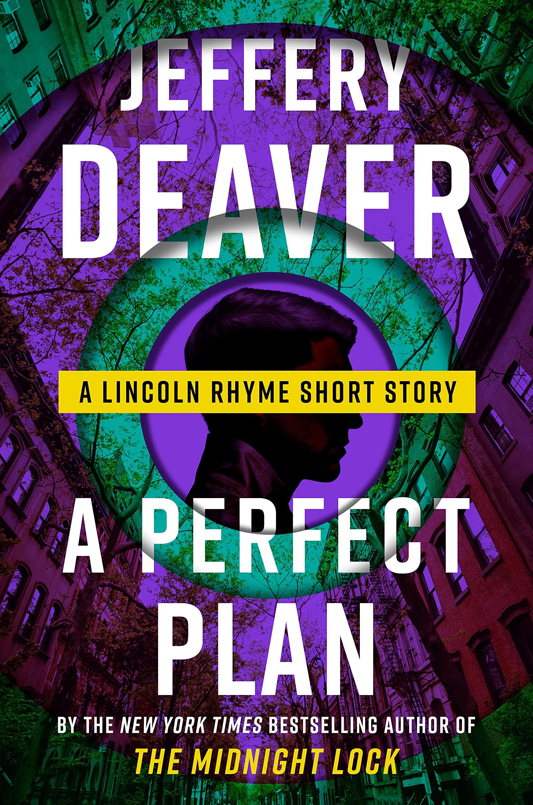 A Perfect Plan book cover