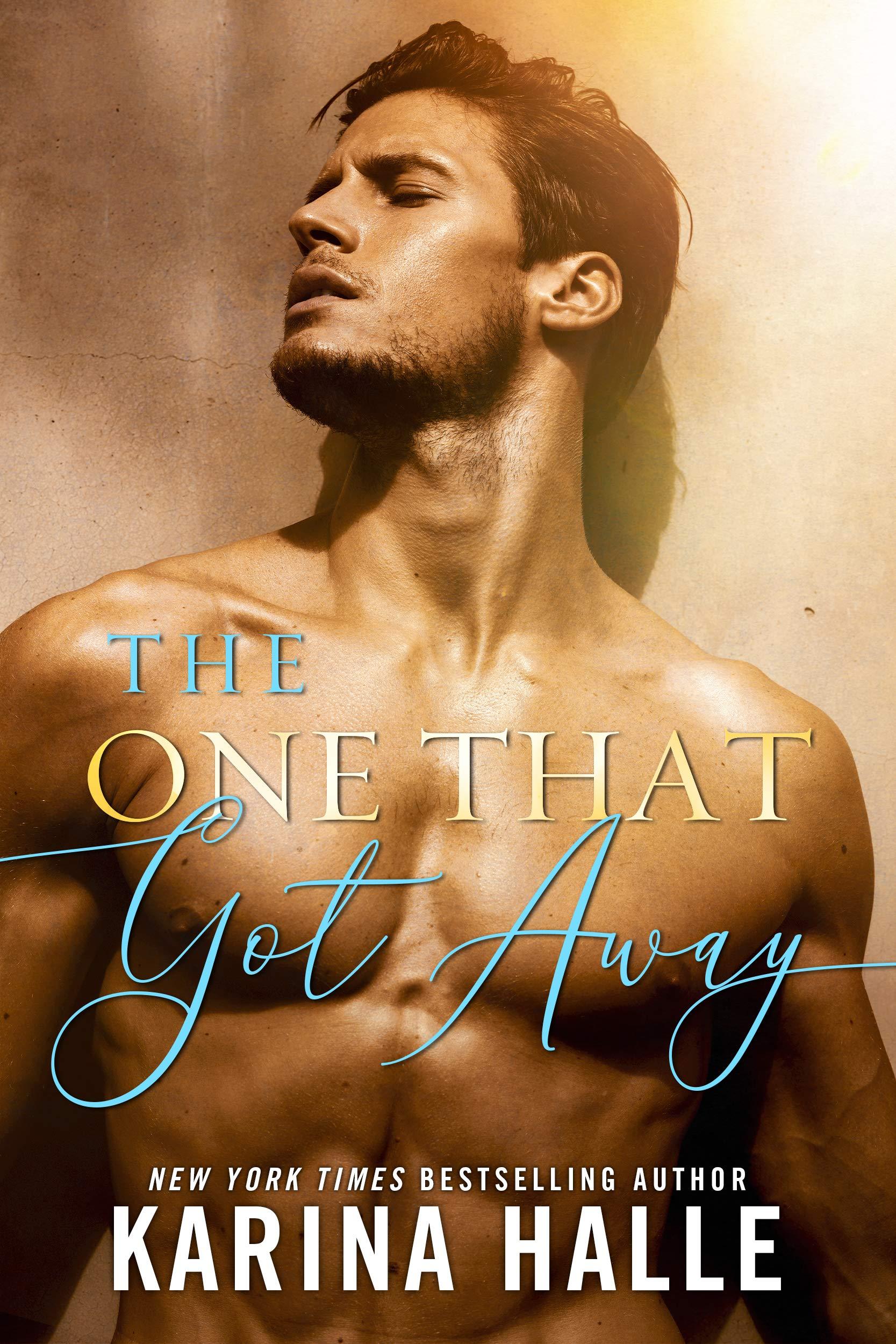 The One That Got Away book cover