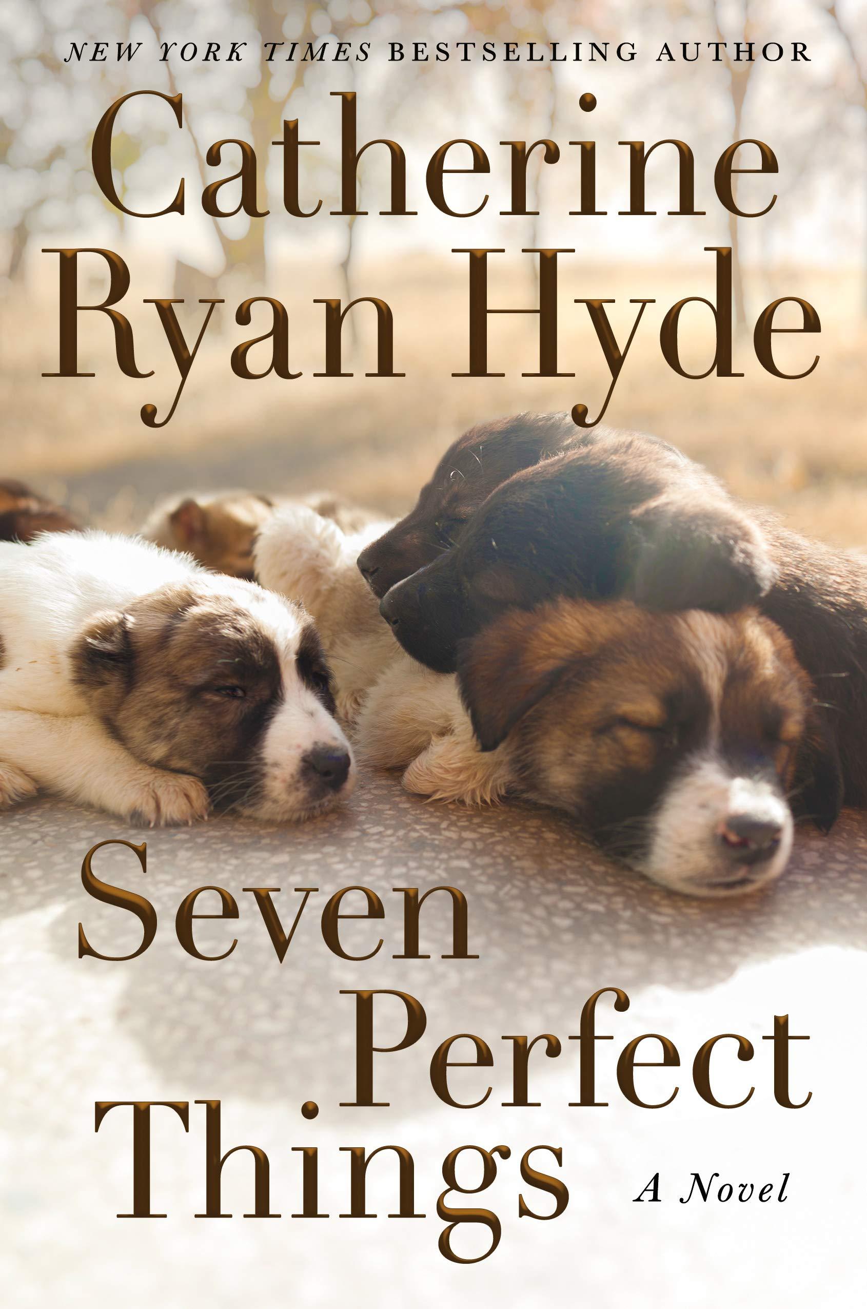 Seven Perfect Things book cover