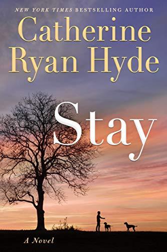 Stay book cover
