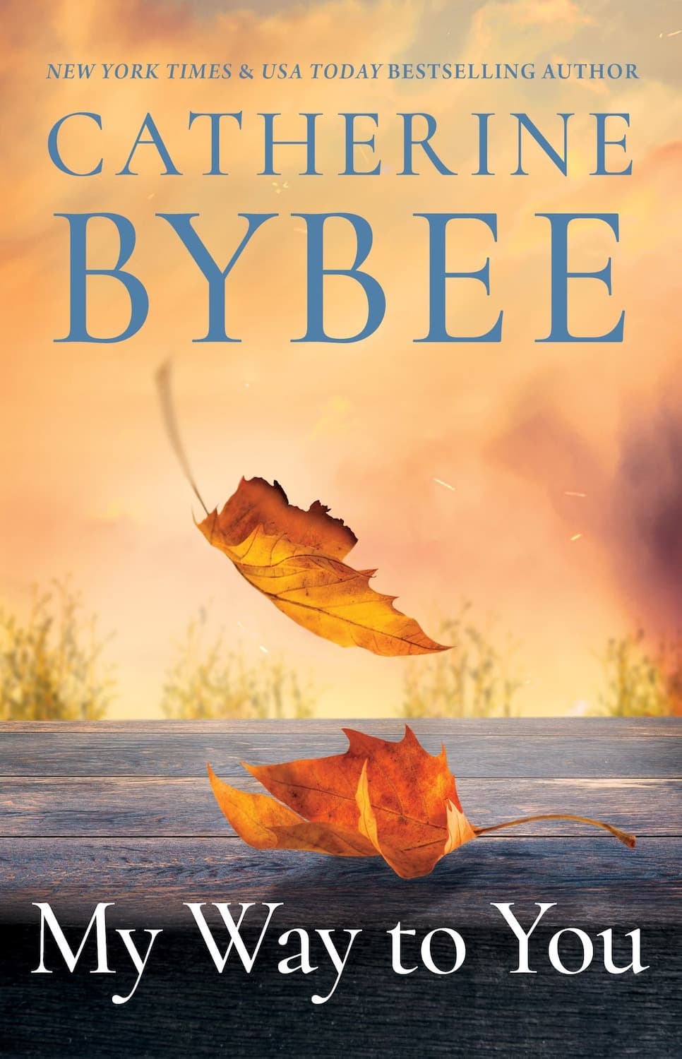 My Way to You book cover