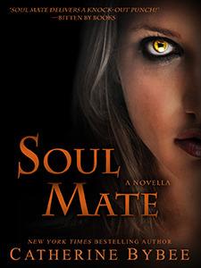 Soul Mate book cover