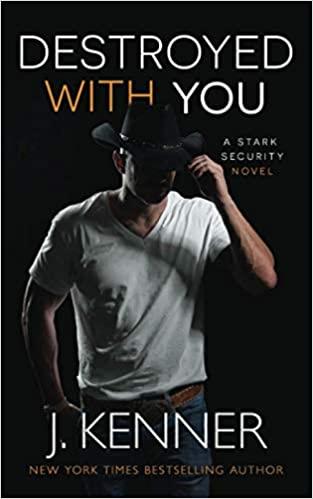 Destroyed With You book cover
