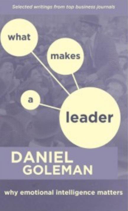 What Makes a Leader: Why Emotional Intelligence Matters