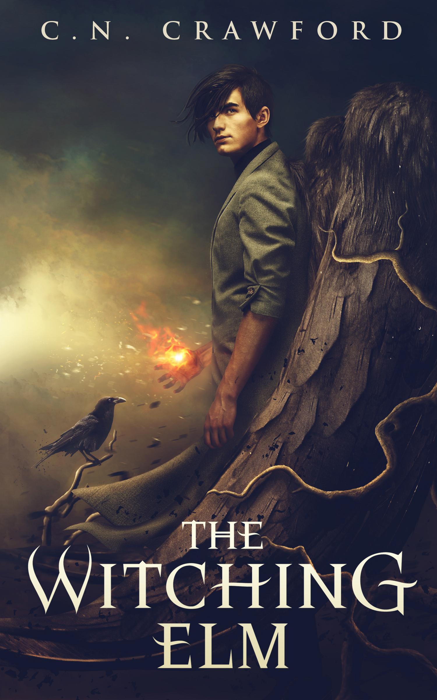 The Witching Elm book cover