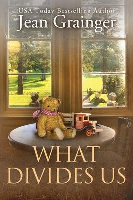 What Divides Us: The Kilteegan Bridge Story - Book 2 book cover