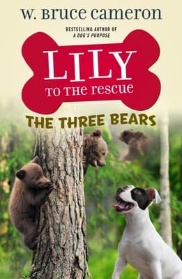 The Three Bears book cover