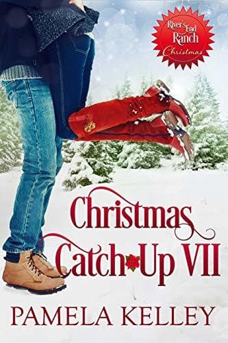 Christmas Catch-Up VII book cover