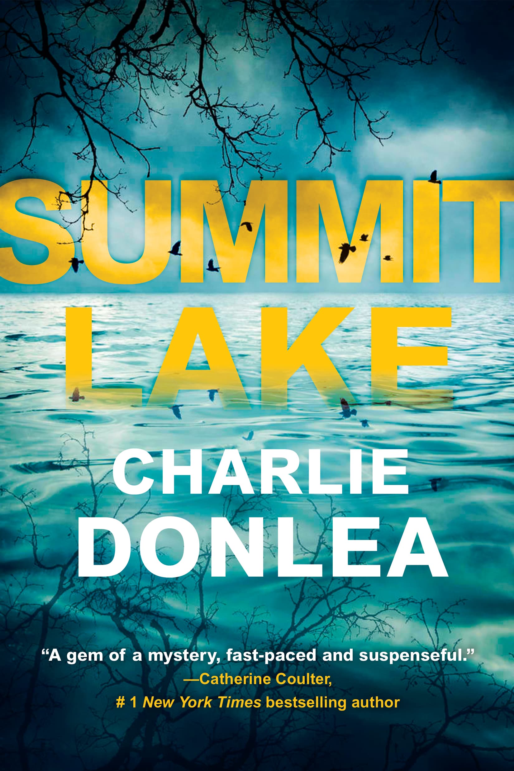 Summit Lake book cover