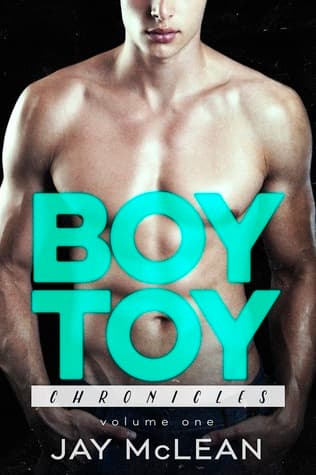 Boy Toy Chronicles book cover