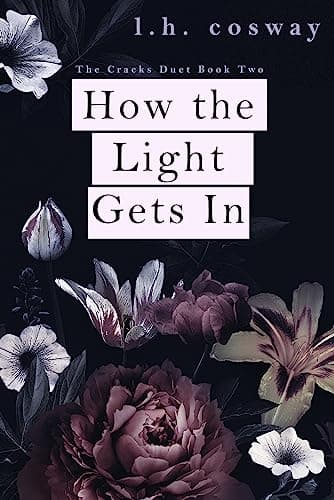 How the Light Gets In book cover