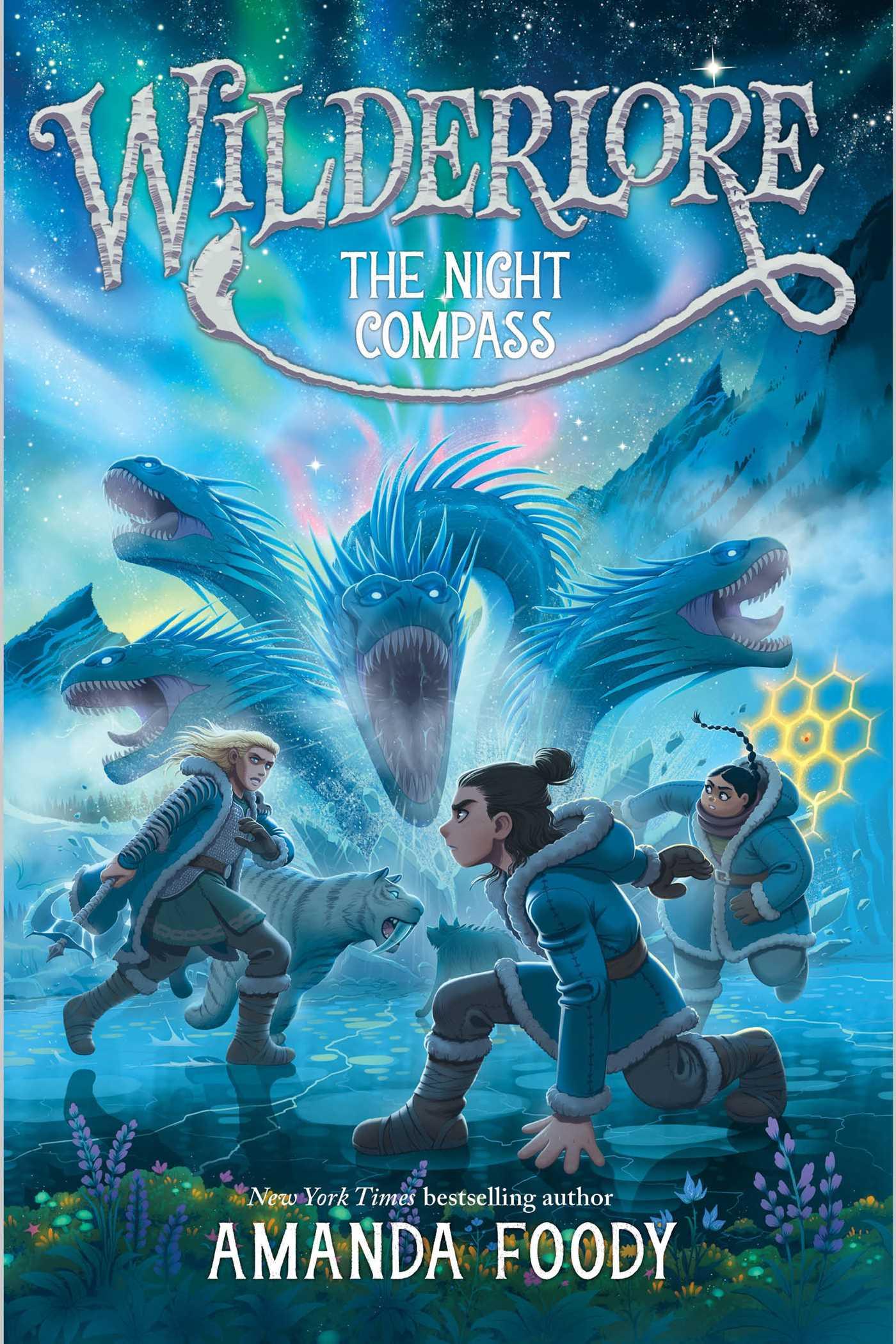 The Night Compass book cover