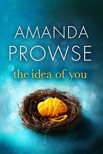 The Idea of You book cover