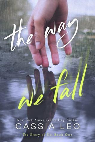 The Way We Fall book cover