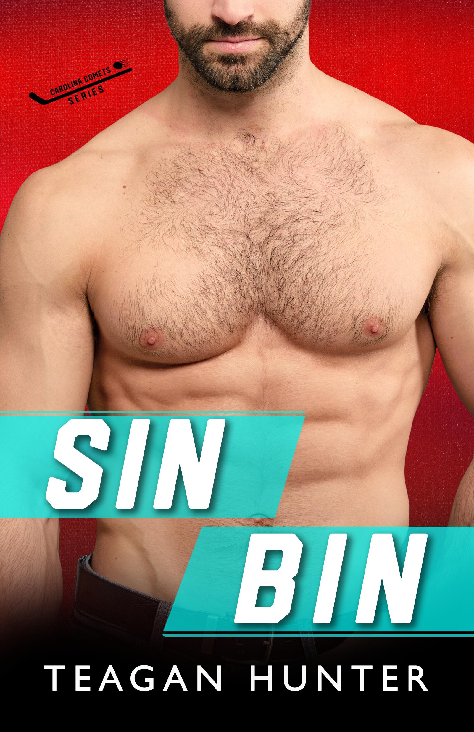 Sin Bin book cover