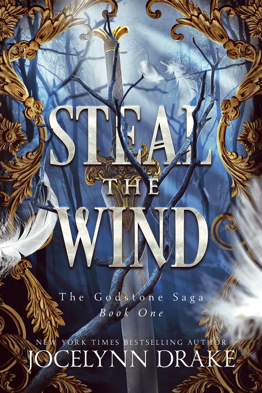 Steal the Wind book cover