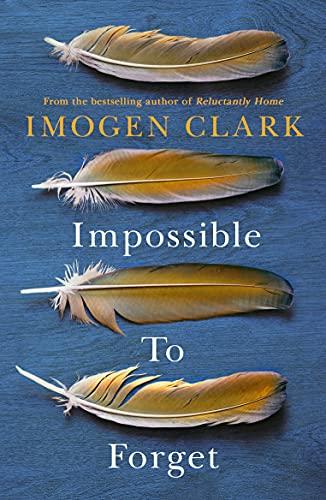 Impossible to Forget book cover