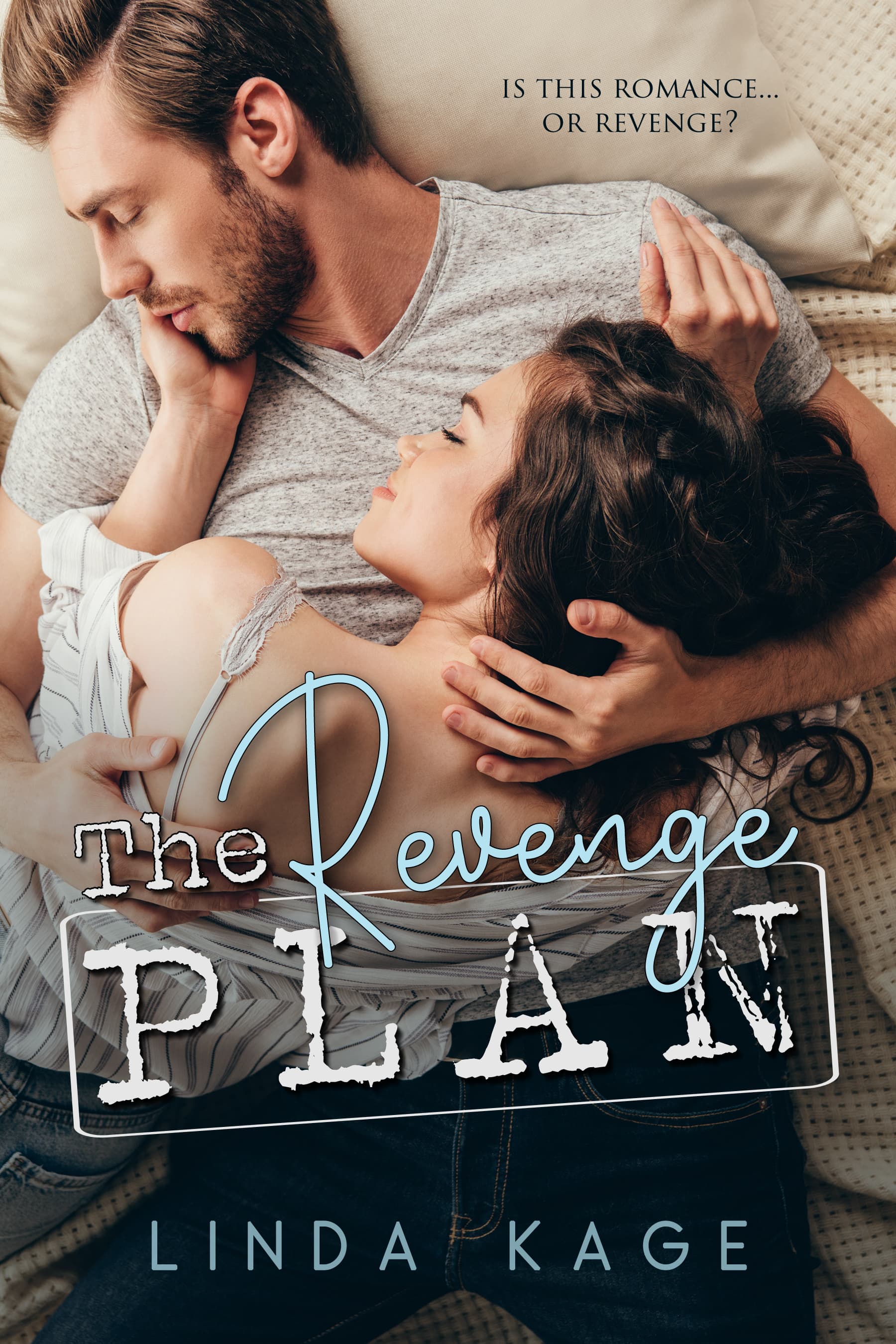 The Revenge Plan book cover
