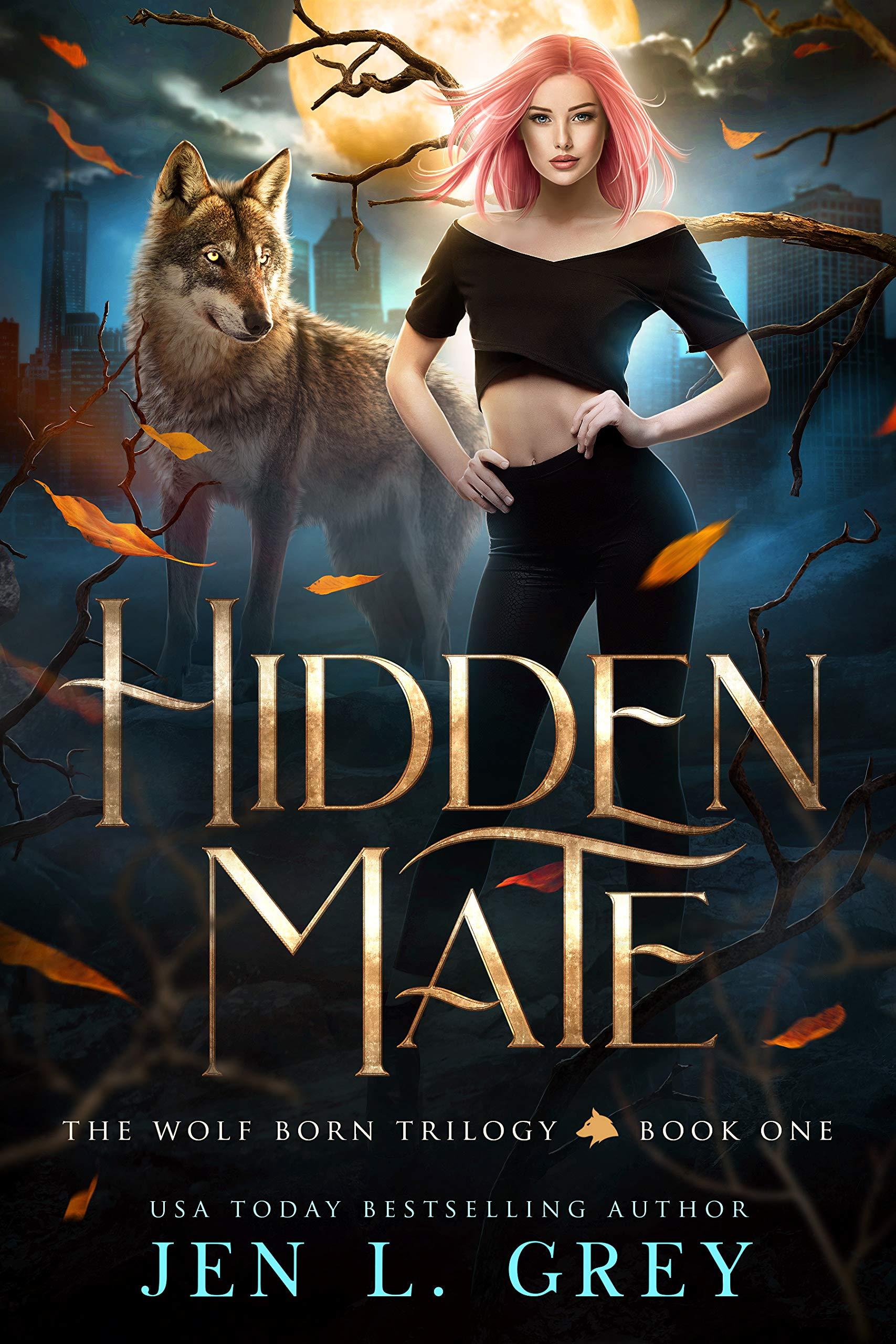 Hidden Mate book cover