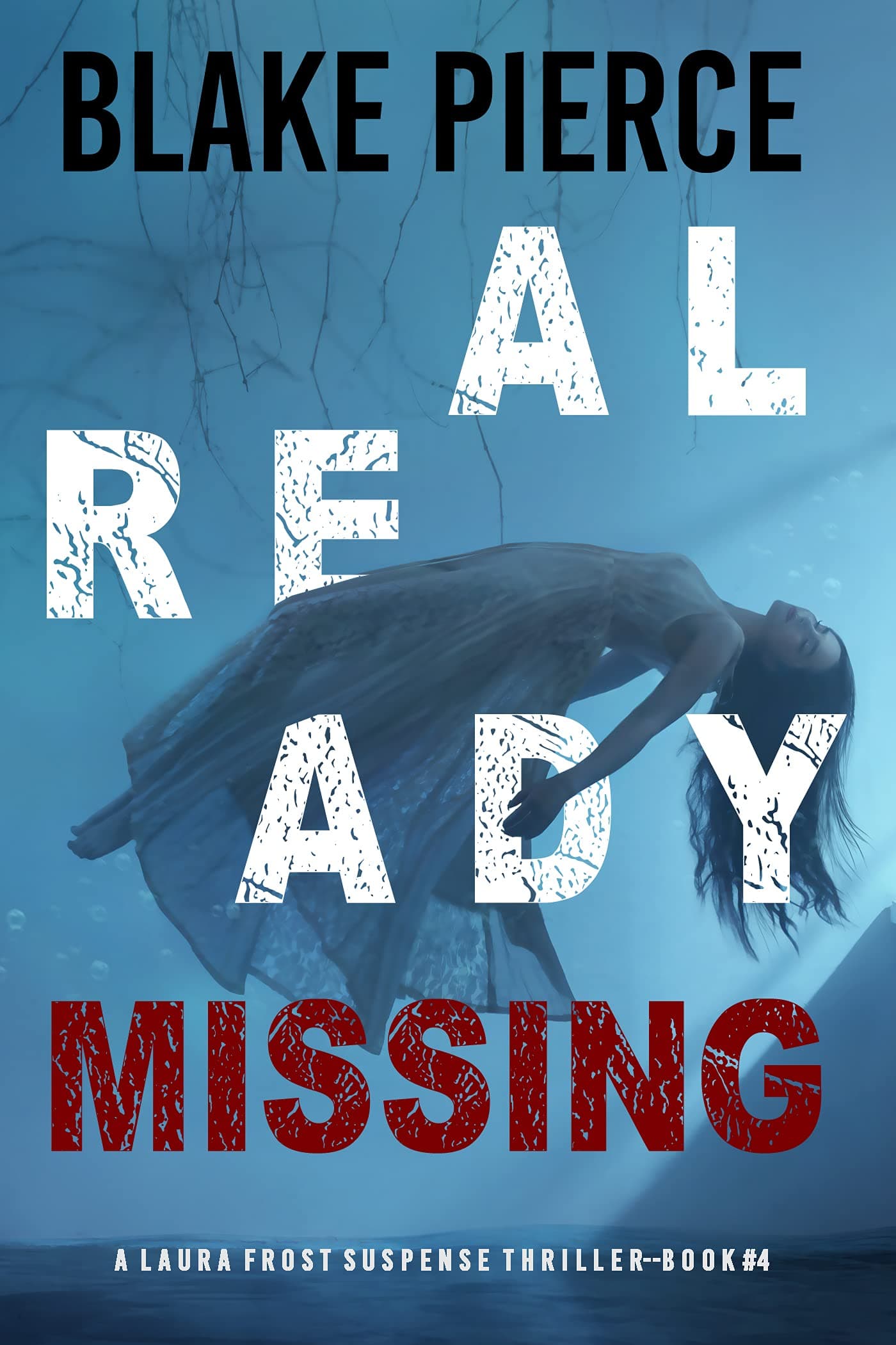 Already Missing book cover