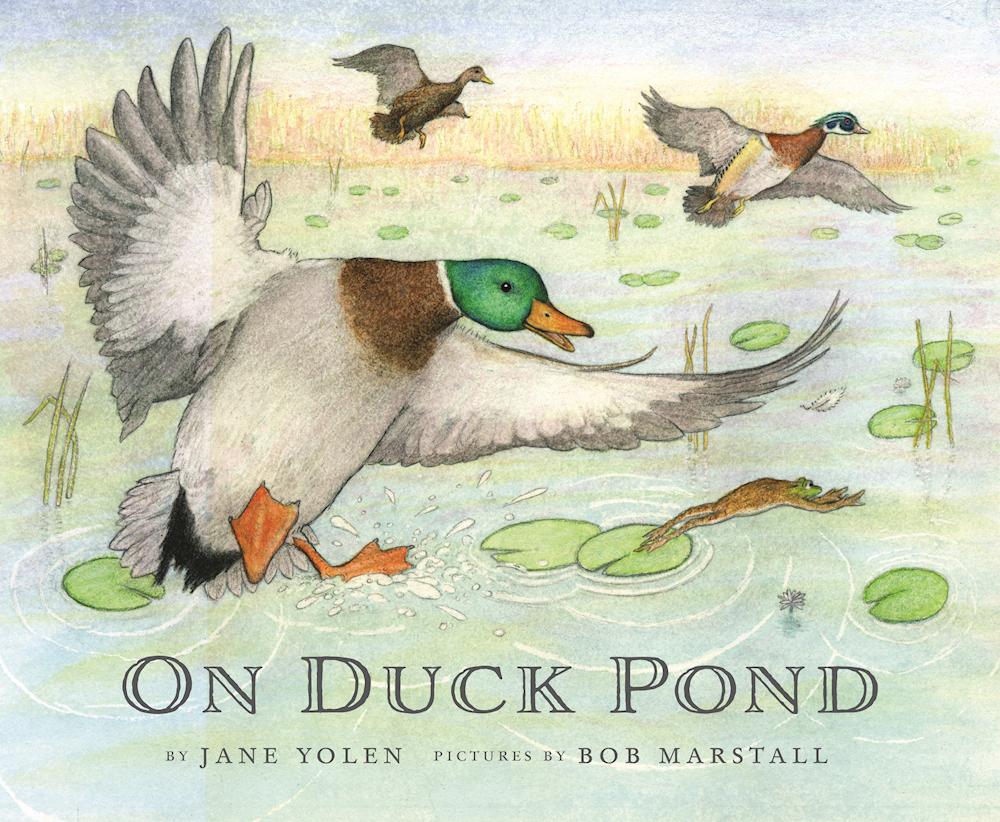On Duck Pond book cover